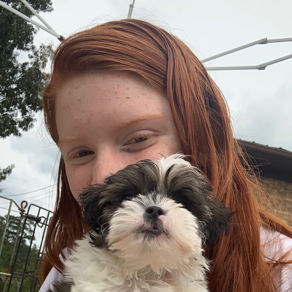 Meet your Posher, Elizabeth - Picture 1 of 1